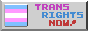 A button showing text 'Trans Rights Now!' next to a trans flag.